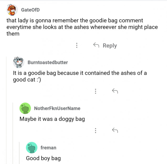 Not a Goodie Bag, but a Good Boy Bag