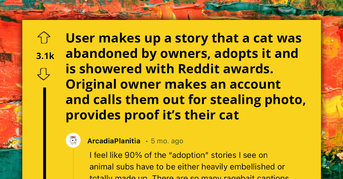 Crafty Storyteller Spins Tale Of Rescuing ‘Abandoned’ Cat And Revels In Reddit Adoration, Only For The Real Owner To Emerge With Shocking Truth Bomb