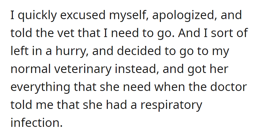 Horrified by the bee incident, OP left the vet, rushed to her usual clinic, and promptly treated Qimao for a respiratory infection.