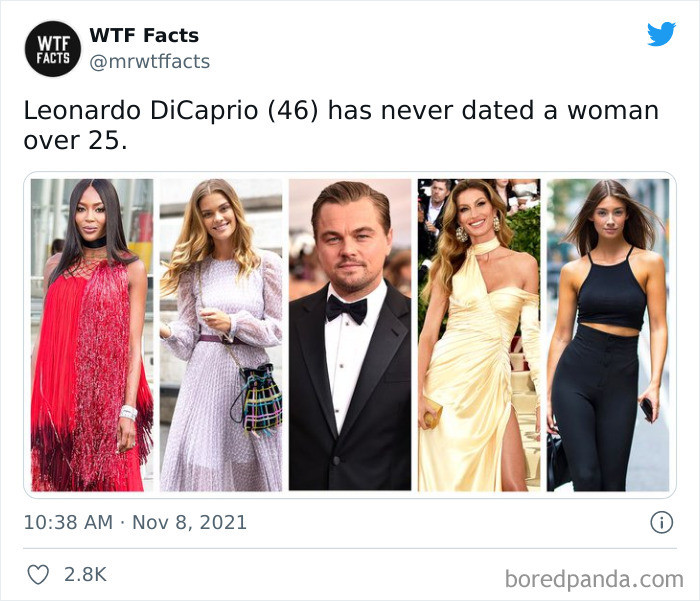 41. Leonardo, Leonardo...