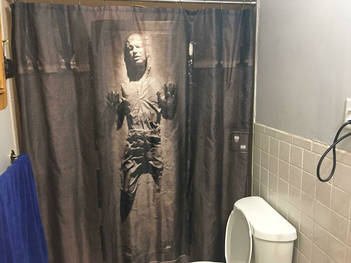 "I Was In Charge Of Buying A New Shower Curtain Today And Purchased The Best One In The World. My SO Disagrees"