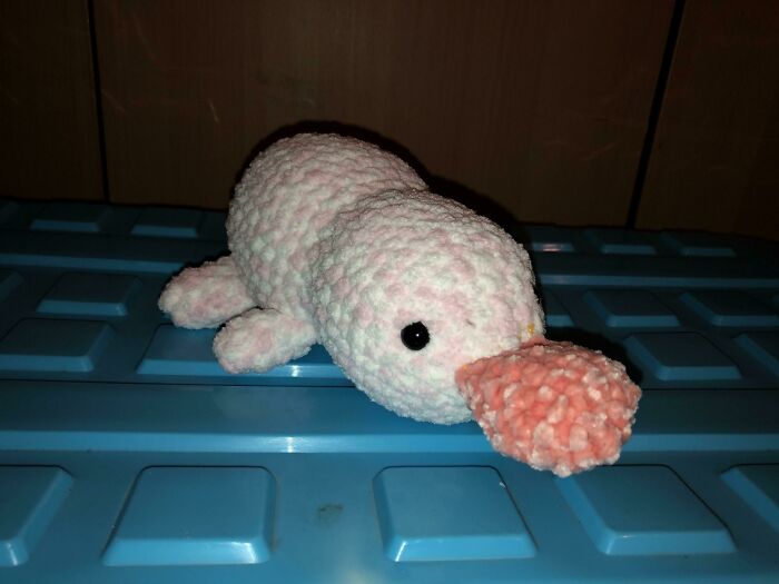 7. Mom, My Family And My Friends Made Fun The Platypus I Crocheted. No One Wants To Buy It Either. Should I Even Continue With Making These?