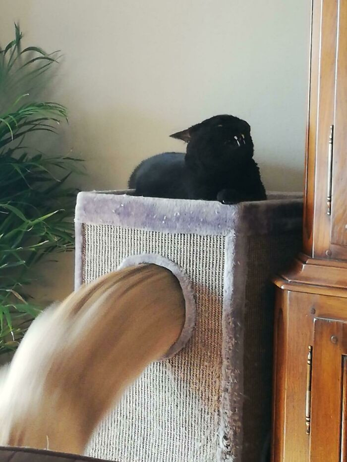 7. What Is Happening Here?