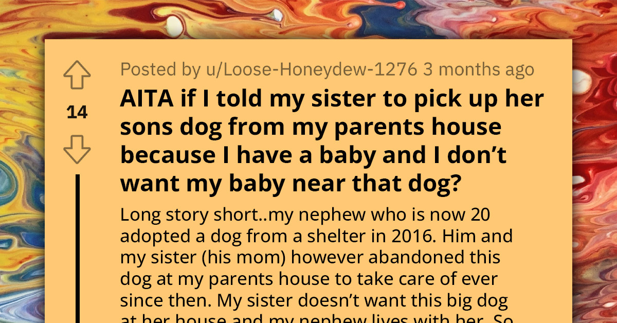 Mother Struggles To Ensure Her 7-Month-Old Baby's Safety In Household With Troublesome Dog