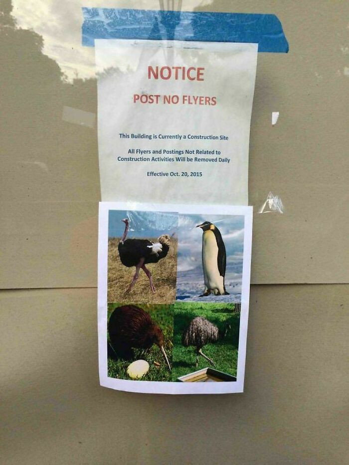 "Post No Flyers"