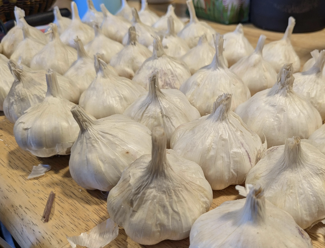 17. Garlic - whole garlic bulbs can be safely stored in a cool, dark place away from sunlight for up to six months.