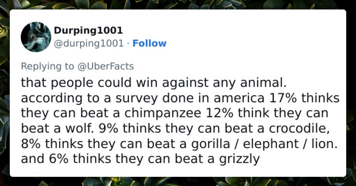 People Uncover 20 Popular Survival Myths That Don't Work And Can Be Dangerous