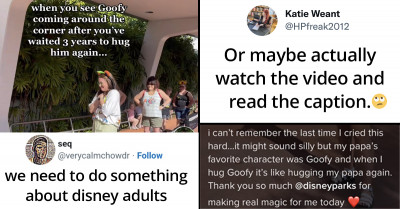 Controversial Twitter Thread Shows Phenomenal Takes About "Disney Adults" And They’re Interesting