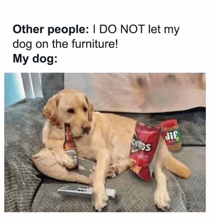 7. Time to move out and put his name on the lease.