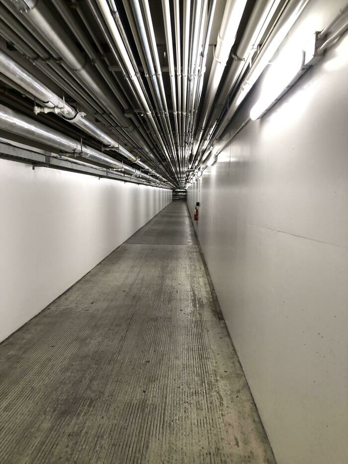 "There Are Tunnels That Connect The Buildings And Parking Garages Within A Couple Blocks Of My Job, So On Rainy Days I Can Get Around And Stay Dry"