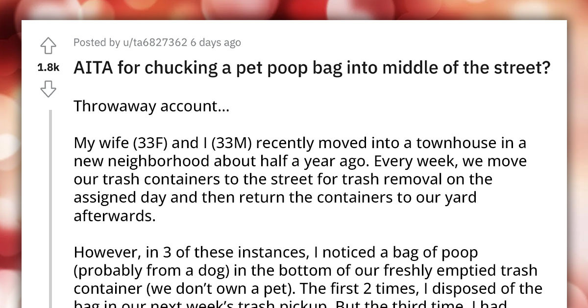 Redditor Asks If He Was Wrong for Chucking Dog Poop Bag He Found in His Trash Container onto the Street