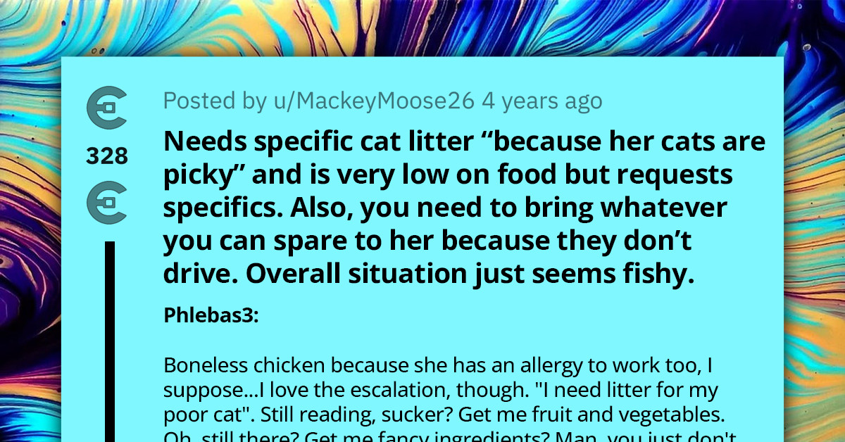 Reddit Laughs At Woman Who Needs Help With Getting Food And Cat Supplies, But Her Requests Are Awfully Odd And Specific