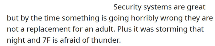 Security cameras are not a good enough replacement for an adult.