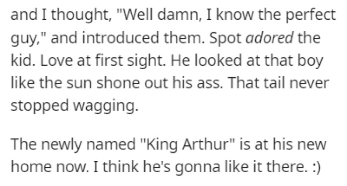 It only took 3 days for Spot to find a new loving forever home