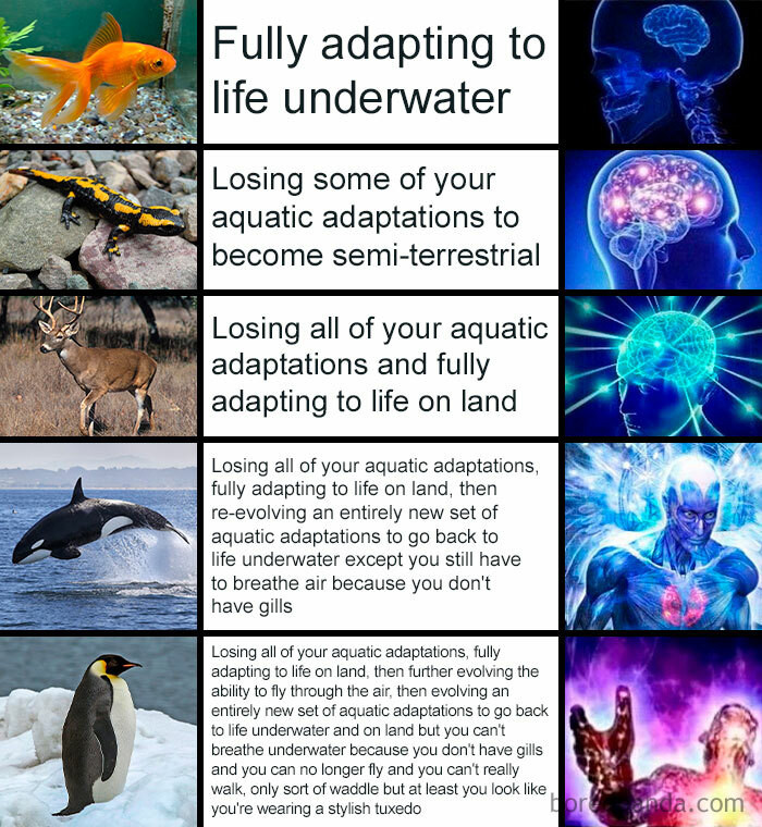 13. Evolution Is Unfair