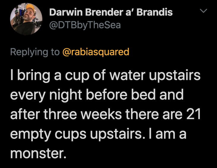 The cups