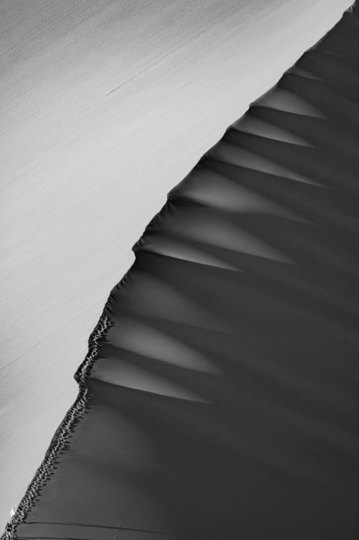 “Climbing Dune 45” By Debbie Lucas