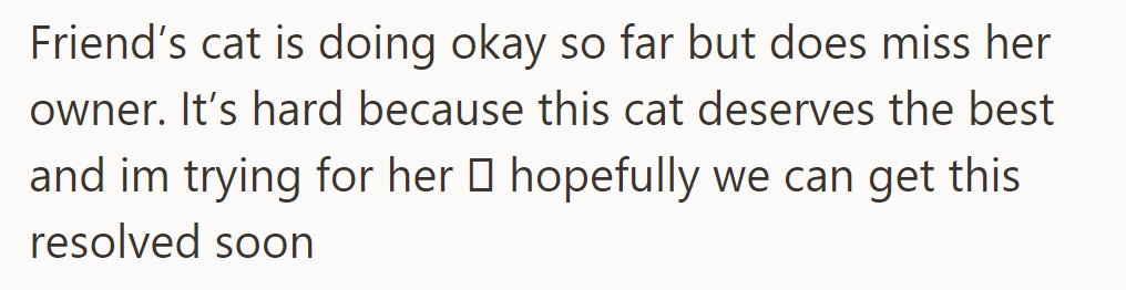 Friend's cat misses her but is coping okay; they're striving for a quick resolution.