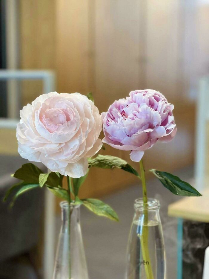 17. My Paper Peony And A Real One