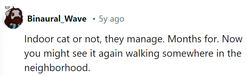 Even indoor cats go rogue! Months gone, now they're the neighborhood's stealthy explorer.