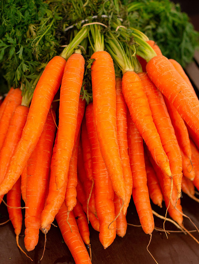 Carrots were once purple, not orange. This color change is the result of centuries of human selective breeding.