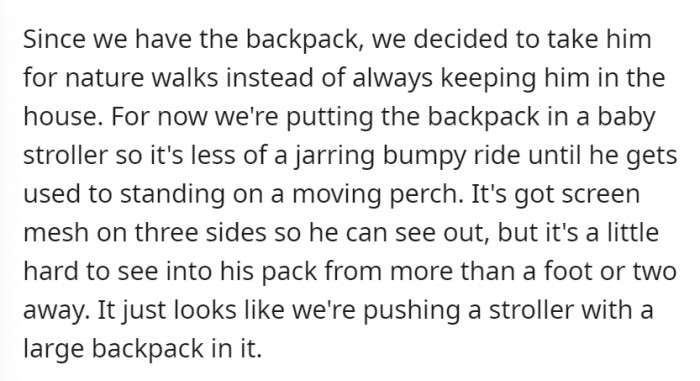 They decided to take the parrot on nature walks, but as practice, they placed the backpack on a baby stroller. From an outside perspective, they would look like a couple pushing a stroller with a big backpack.