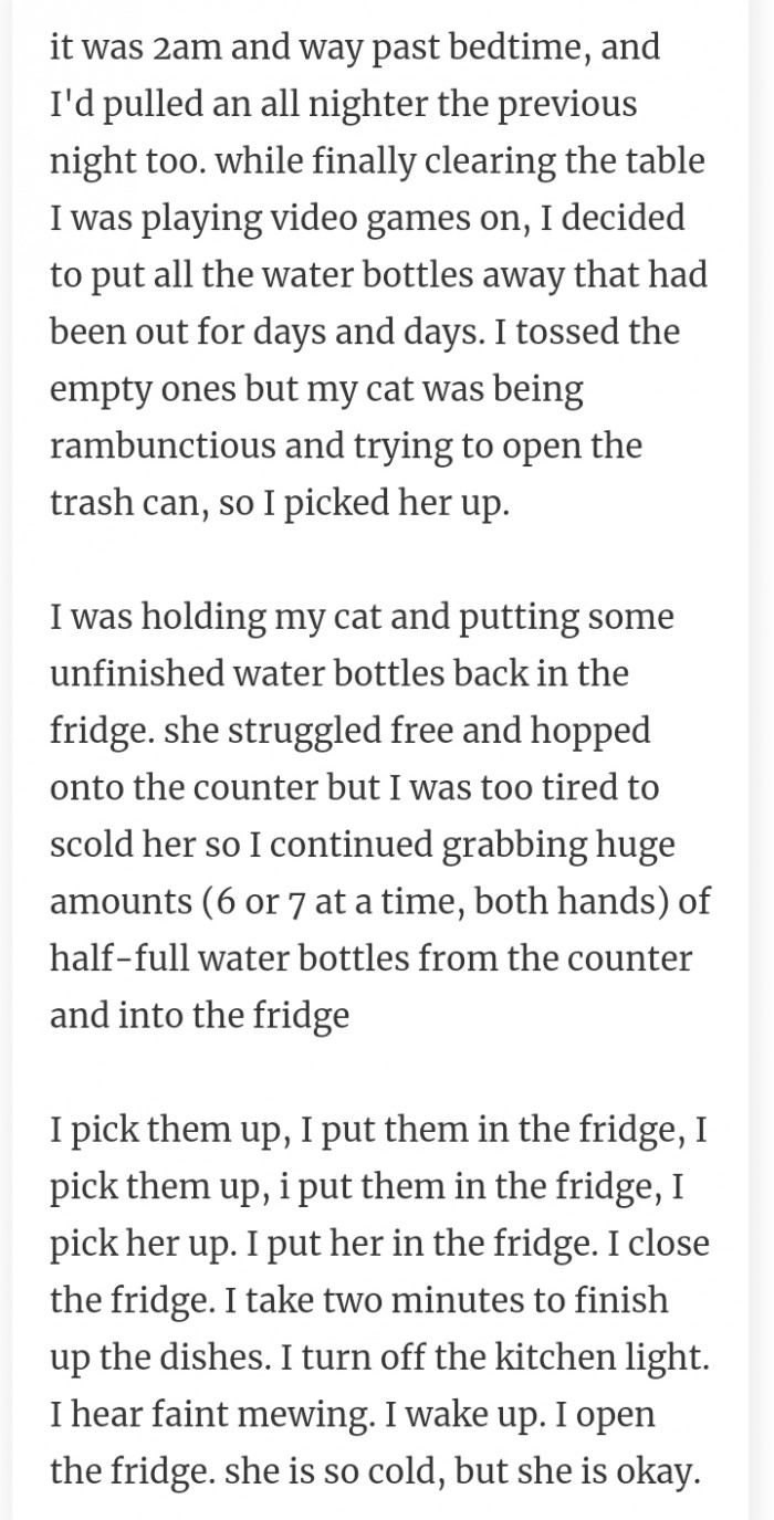 48. Cat in fridge