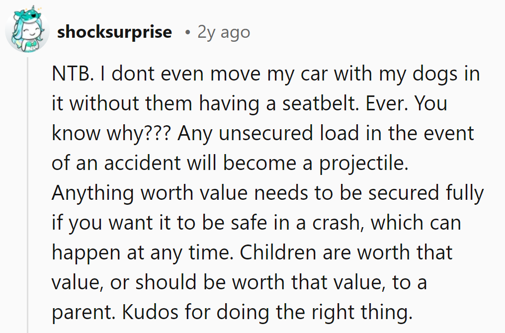 Safety's the leash of life, even for our furry friends.