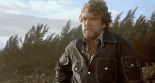 Why the hell did they name them ‘Soldier ants’ and not ‘Combatants’?