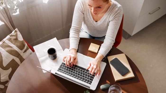 Court hearing panel reviewing misconduct evidence, addressing alleged faked remote productivity.