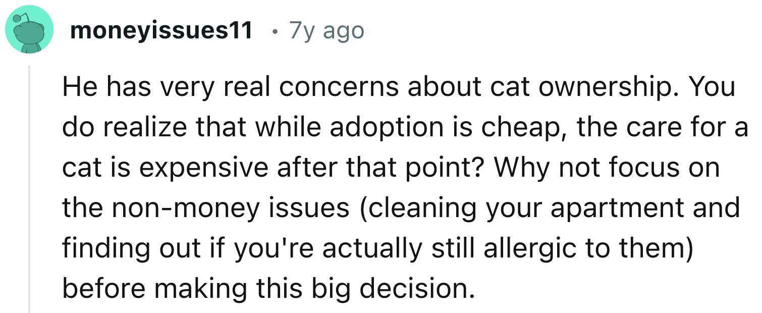 Real Concerns Over Cat Ownership