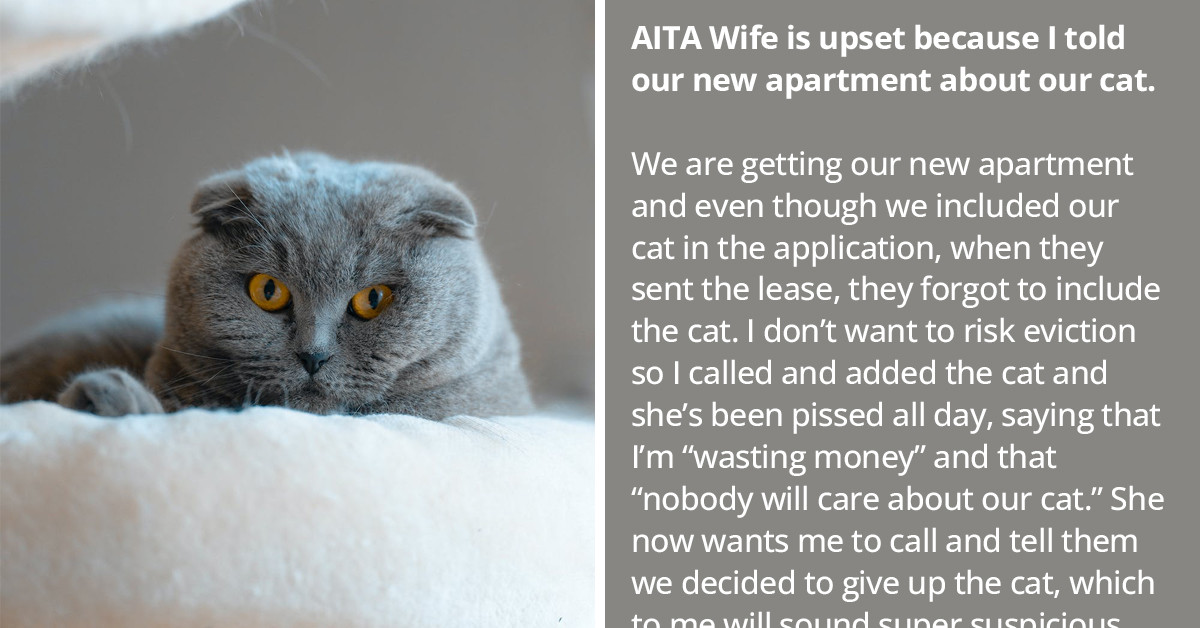Wife Gets Upset After Husband Informed Their Landlord That They Have A Cat, Says Pet Rent Is Just A Waste Of Money