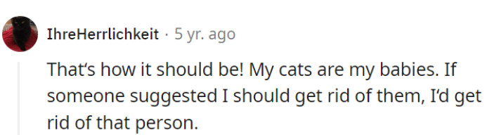 Absolutely, feline loyalty reigns supreme—anyone who doesn't get that can go away.