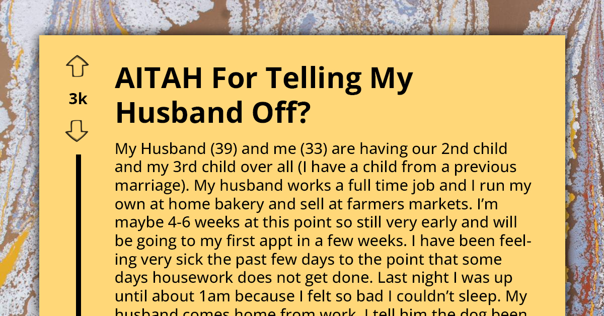 Pregnant Woman Asks If She's an A**hole for Telling Off Husband for Questioning Her Illness and Falling Behind on Chores