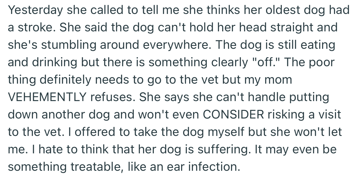 The second of her three dogs fell sick shortly after, but she refused to let anyone take it to the vet out of fear that it would be euthanized