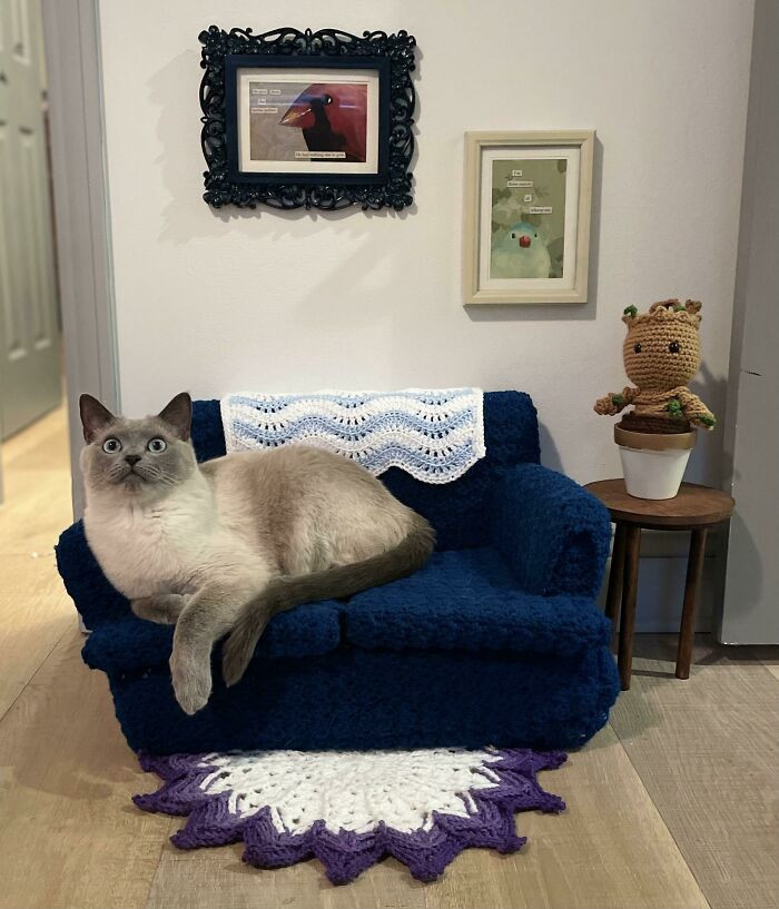 8. Someone Is Very Pleased With Their Own Living Room!