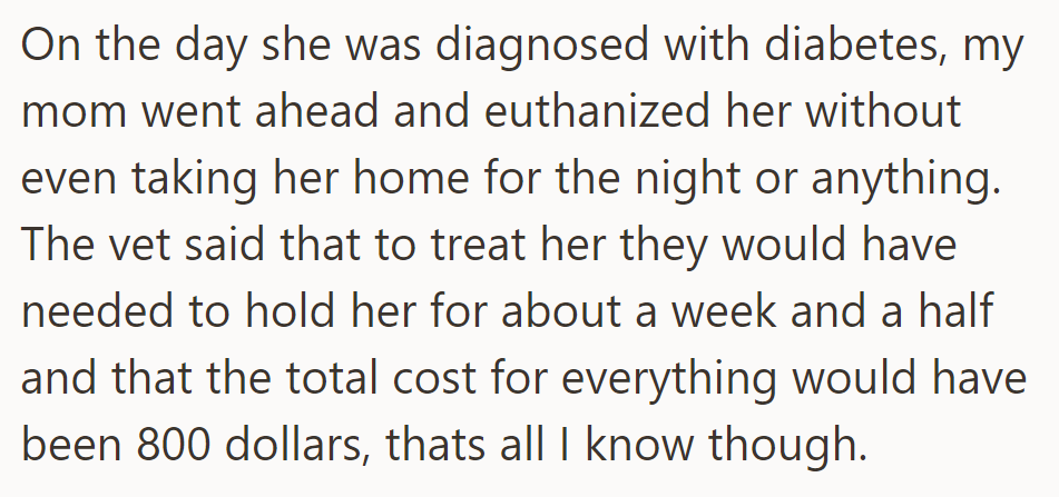 Cheese Was Diagnosed with Diabetes but Euthanized Without Treatment. The Vet Suggested an $800 Care Plan.