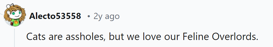 Cats: ruling with a paw of iron, but hey, who can resist those fuzzy tyrants?