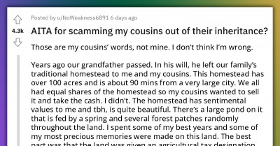 Guy Who Legitimately Bought His Cousins’ Inheritance Gets Accused Of Scam When He Sells It 100x The Amount