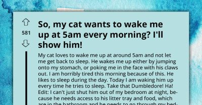 Cat Owner Takes Revenge On His Cat And Starts War, Redditors Tell Him He Will Surely Lose It