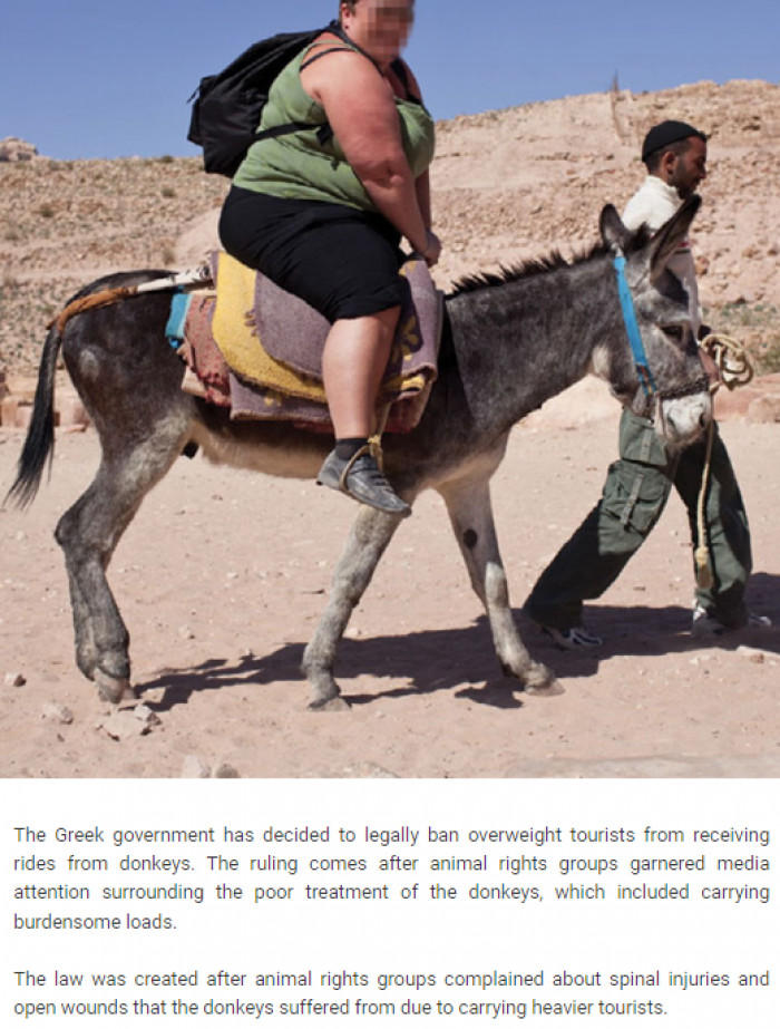 3. Overweight Tourists