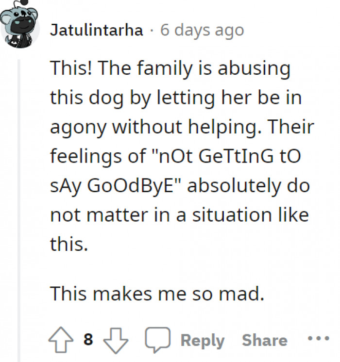 The situation is straight-up animal abuse. This Redditor is furious, and many are feeling the same sentiments.