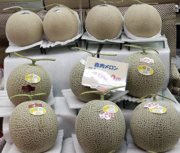 12. Melon - whole melons, when not ripe, can be kept unrefrigerated for up to two days.
