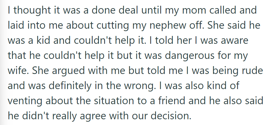 OP's mother and friend disagreed with the decision to limit visits due to the nephew's behavior with the dog, citing the child's inability to control it.