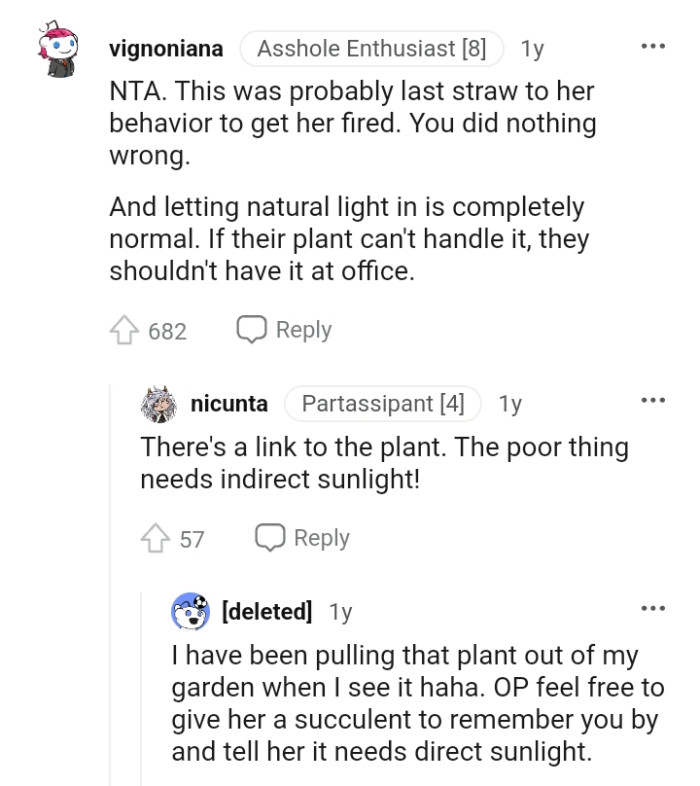 The OP did nothing wrong, and the plant shouldn't be there