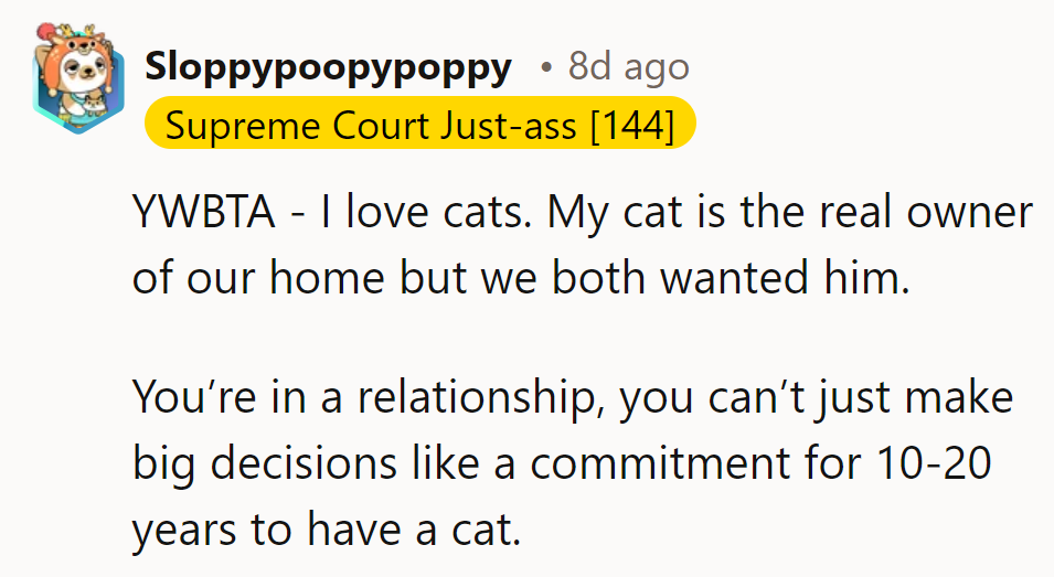 Paws for thought: Commitment's a two-way street, not a litter box!