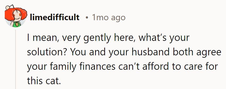 Two cats, one wallet - it's a financial fur-storm.