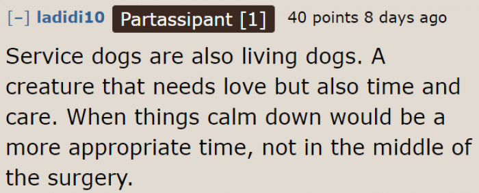 Even if a service dog is good, they still need to allot some time to care for it. It's not possible given their situation.