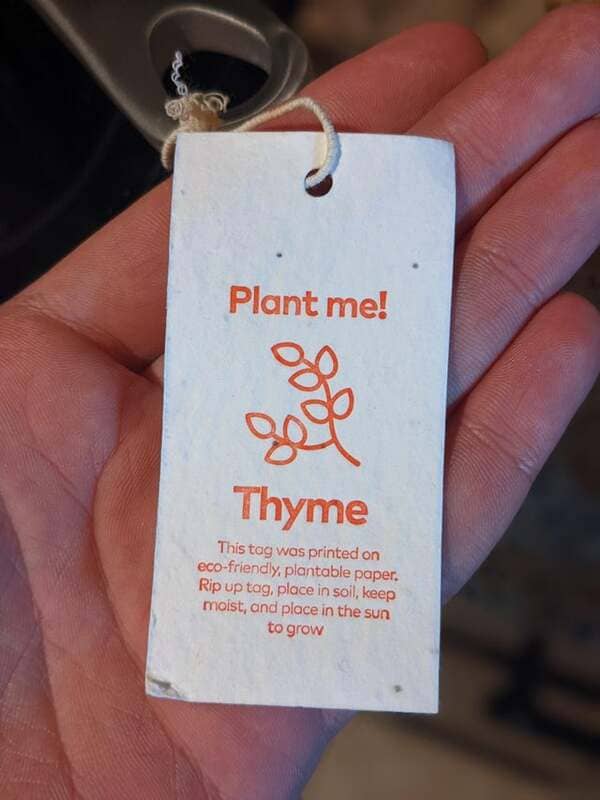 12. The tag from my new frying pan can be planted to grow thyme.