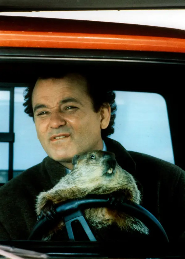 5. Bill Murray in Groundhog Day